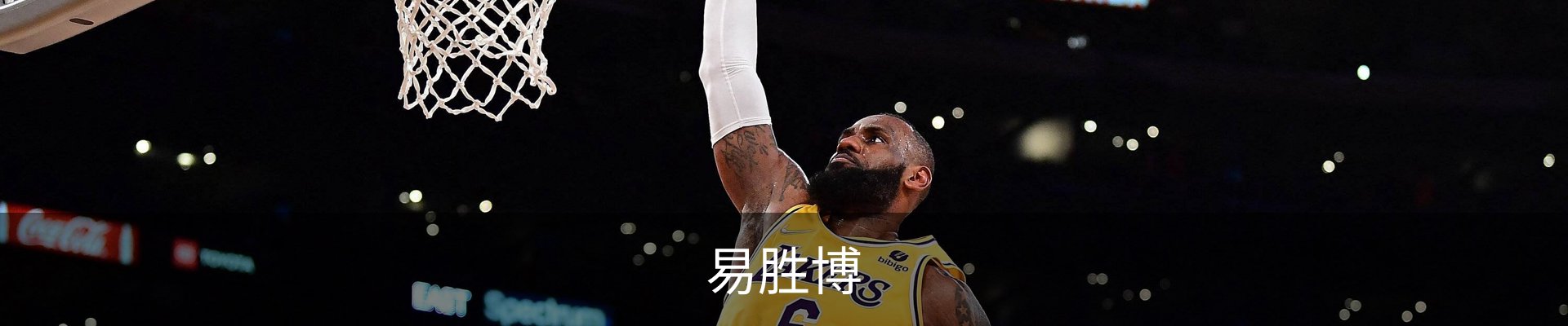 易胜博-易胜博YSB·(中国)官方网站